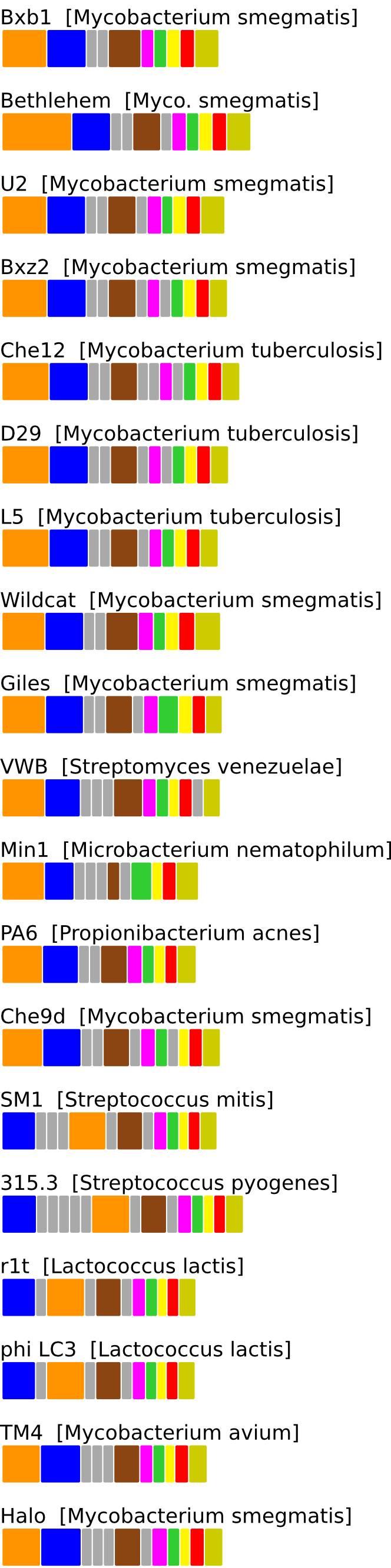 ERROR_IN_GENERATING_GENE_CONTEXT_FIGURE. Contact Webmaster.