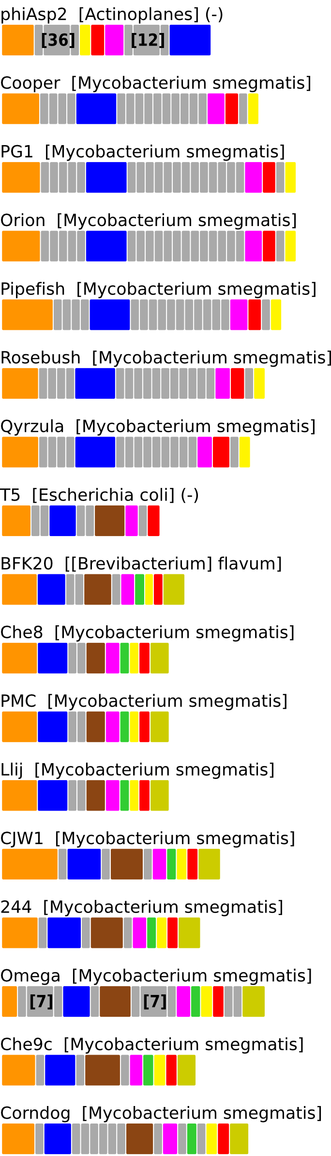 ERROR_IN_GENERATING_GENE_CONTEXT_FIGURE. Contact Webmaster.