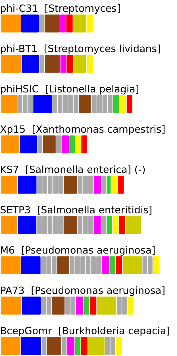 ERROR_IN_GENERATING_GENE_CONTEXT_FIGURE. Contact Webmaster.