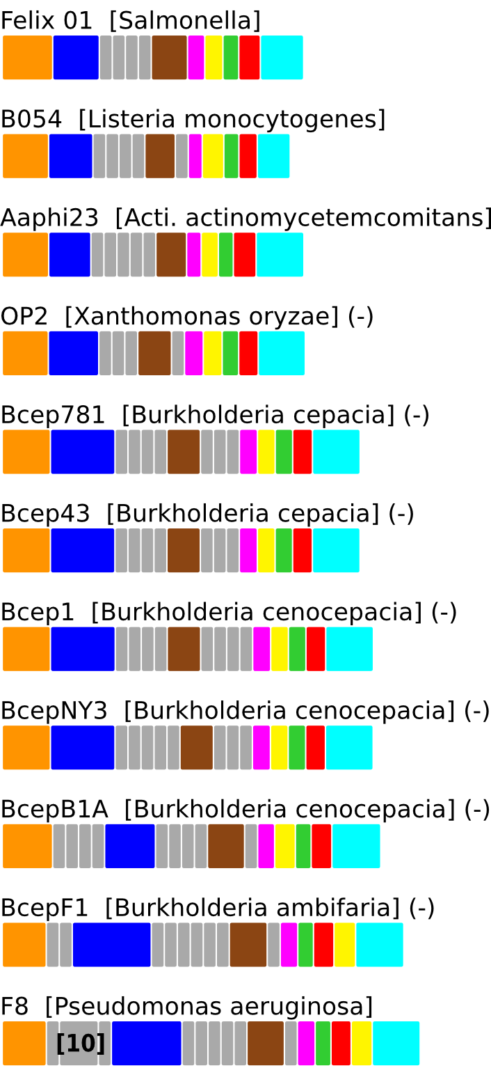 ERROR_IN_GENERATING_GENE_CONTEXT_FIGURE. Contact Webmaster.