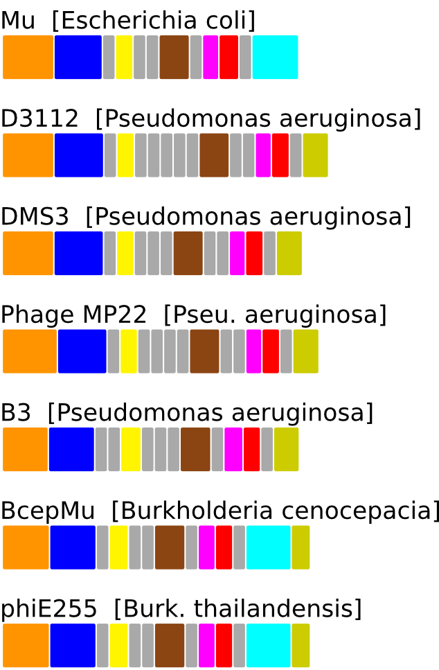 ERROR_IN_GENERATING_GENE_CONTEXT_FIGURE. Contact Webmaster.