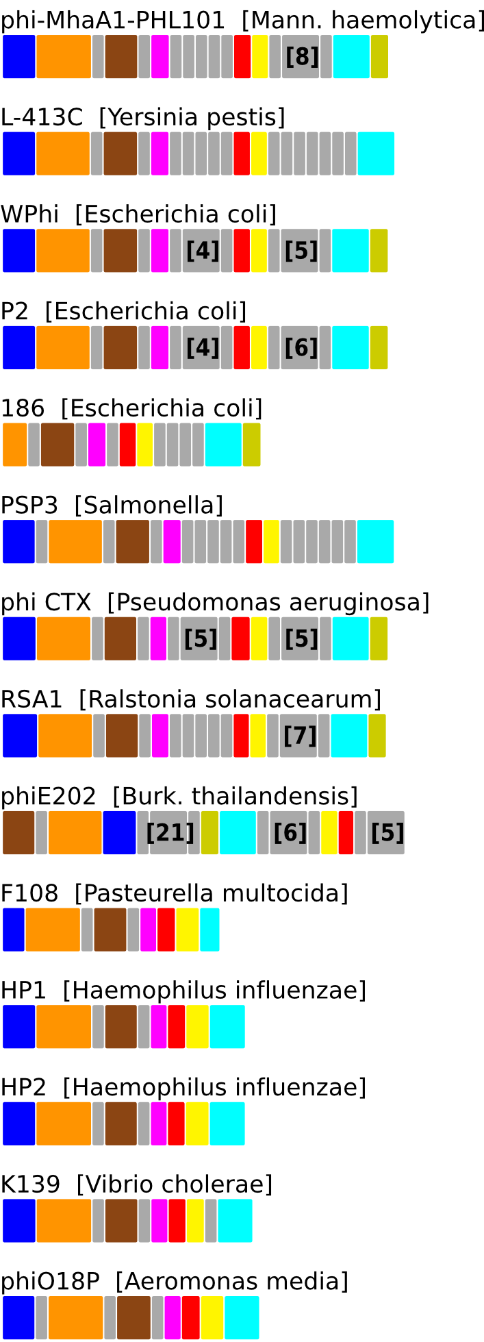 ERROR_IN_GENERATING_GENE_CONTEXT_FIGURE. Contact Webmaster.